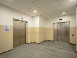 Bendemeer Road (D12), Office #531646841